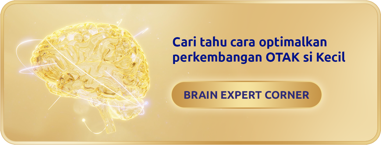 Brain Expert Corner